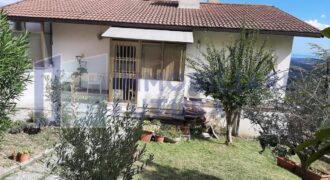 Appartamento Con Giardino.